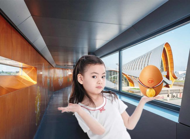 隐盏工业旅游策划分享：山东潍坊正大鸡蛋探索科普馆