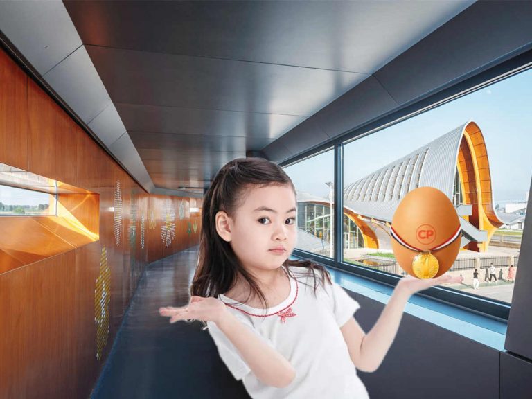 隐盏工业旅游策划分享：山东潍坊正大鸡蛋探索科普馆