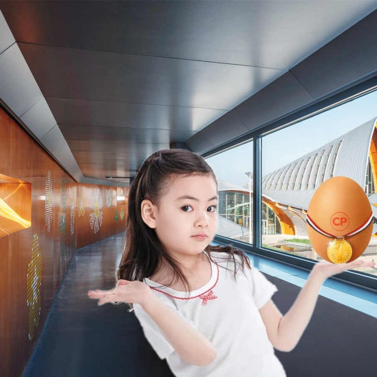 隐盏工业旅游策划分享：山东潍坊正大鸡蛋探索科普馆