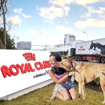 隐盏文化上海工业旅游策划分享：奉贤区皇家宠物食品观光工厂