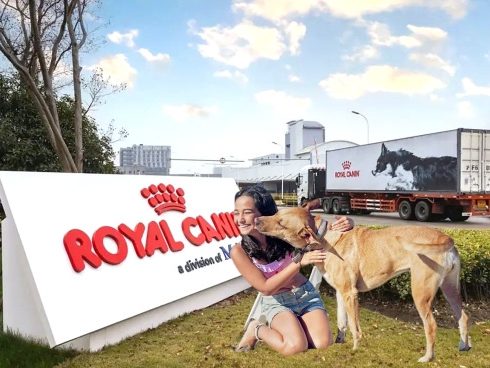 隐盏文化上海工业旅游策划分享：奉贤区皇家宠物食品观光工厂