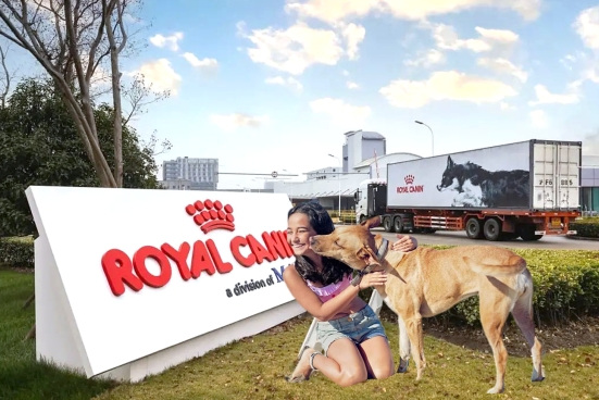 隐盏文化上海工业旅游策划分享：奉贤区皇家宠物食品观光工厂