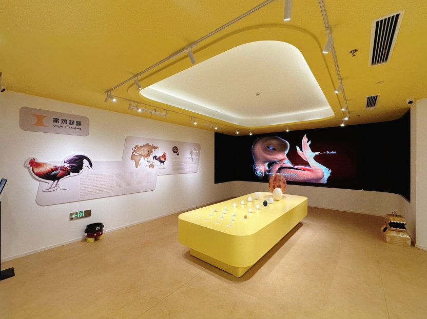 隐盏文化工业旅游策划分享:上海蛋品世界科技博物馆