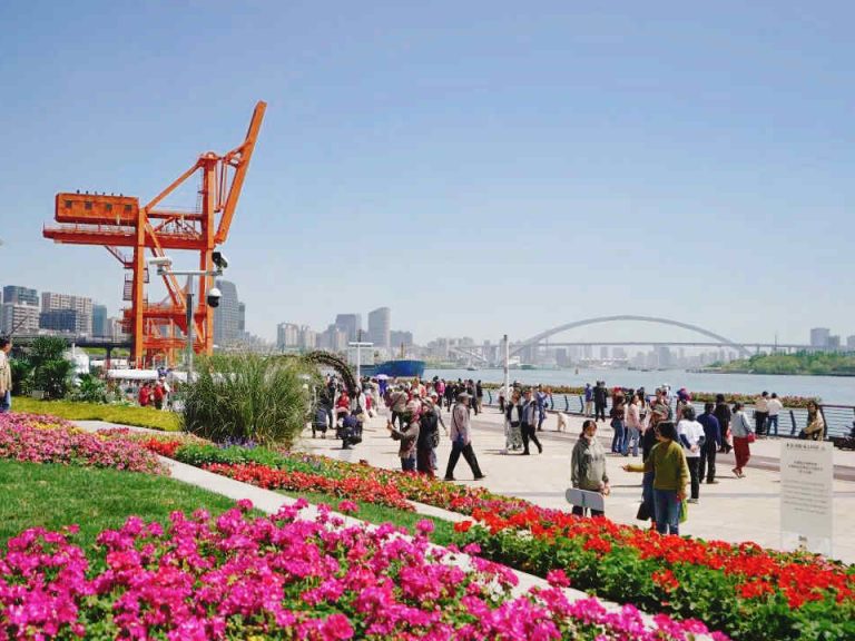 隐盏文化分享上海工业遗迹改造工业旅游策划案例：徐汇滨江的国际花展