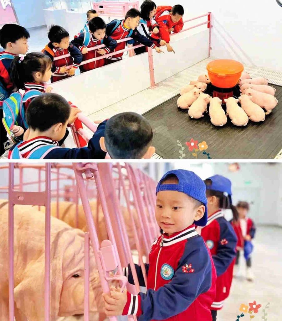 上海隐盏文化工业旅游策划设计案例分享:江西赣州大余猪小治文创观光工厂屠宰厂