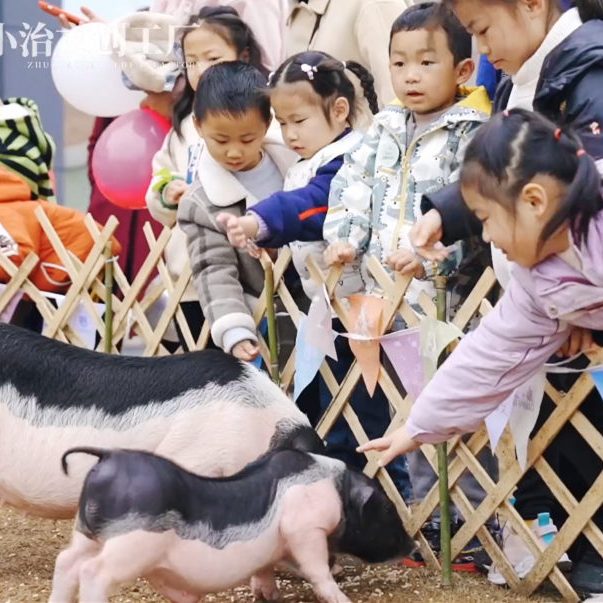 上海隐盏文化工业旅游策划设计案例分享：江西赣州大余猪小治文创观光工厂