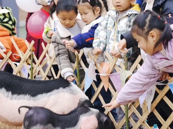 上海隐盏文化工业旅游策划设计案例分享：江西赣州大余猪小治文创观光工厂